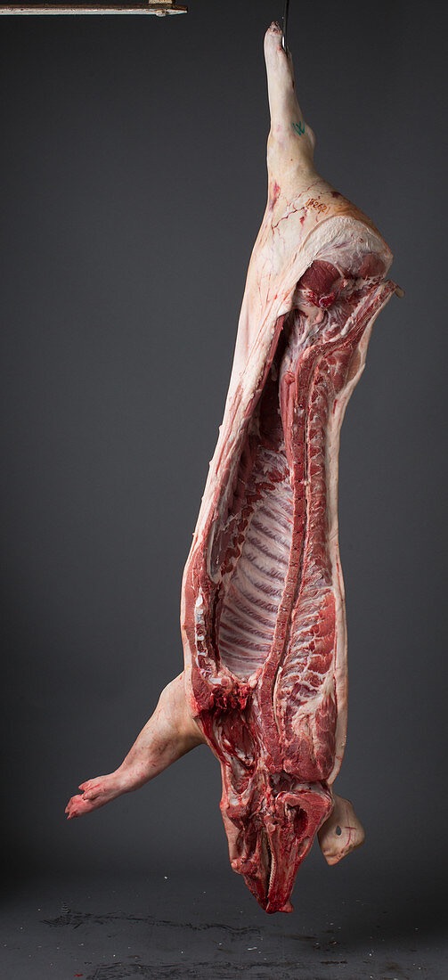 Schweinehälfte (ca. 40 Kg)